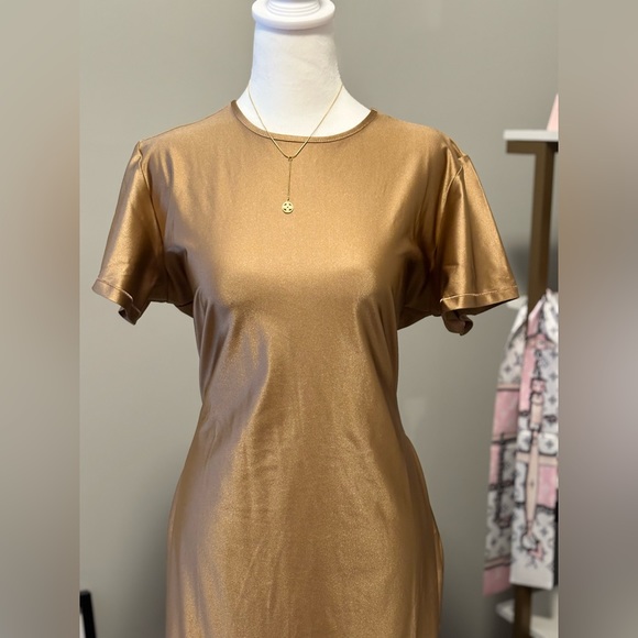 SKIMS Shine Jersey Long Dress in Sienna NWT 4x - Picture 7 of 11